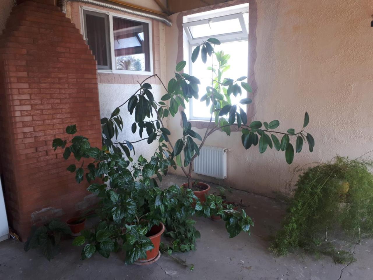 La Vitalie Guest House Chisinau Bagian luar foto
